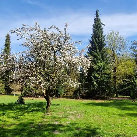 Sommer Elpersbüttel